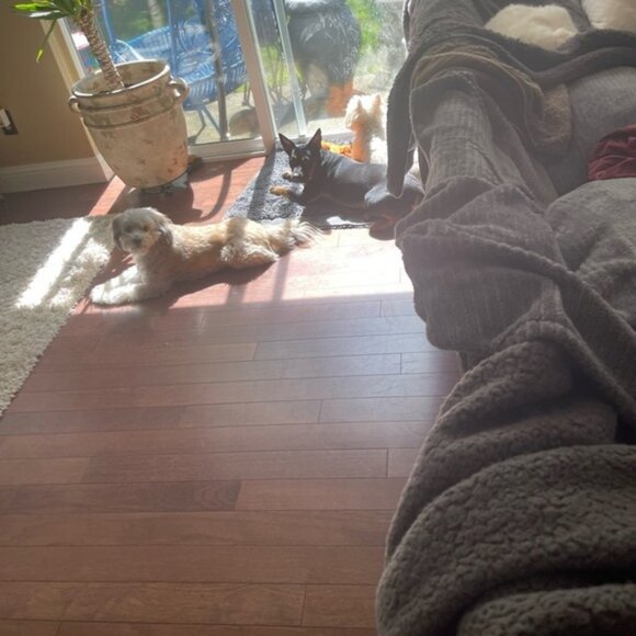 Floral Embroidered Kimono - Picture 6 of 8